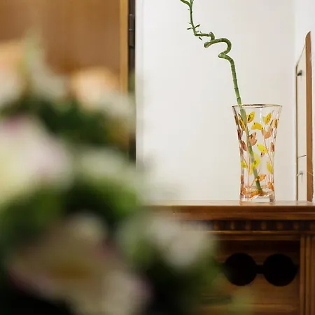 Rainbow Joy - Cinque Terre La Spezia